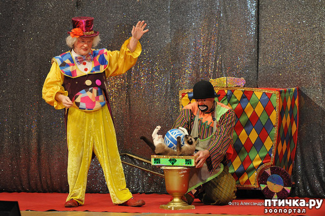 ���� 19: ������� �������� ������ � ��� �������������� �������.