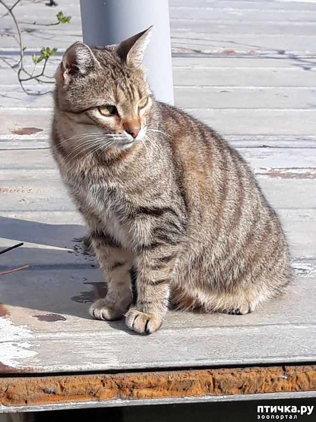 ���� 14: ������������ � ��������� ���������. ������� �������