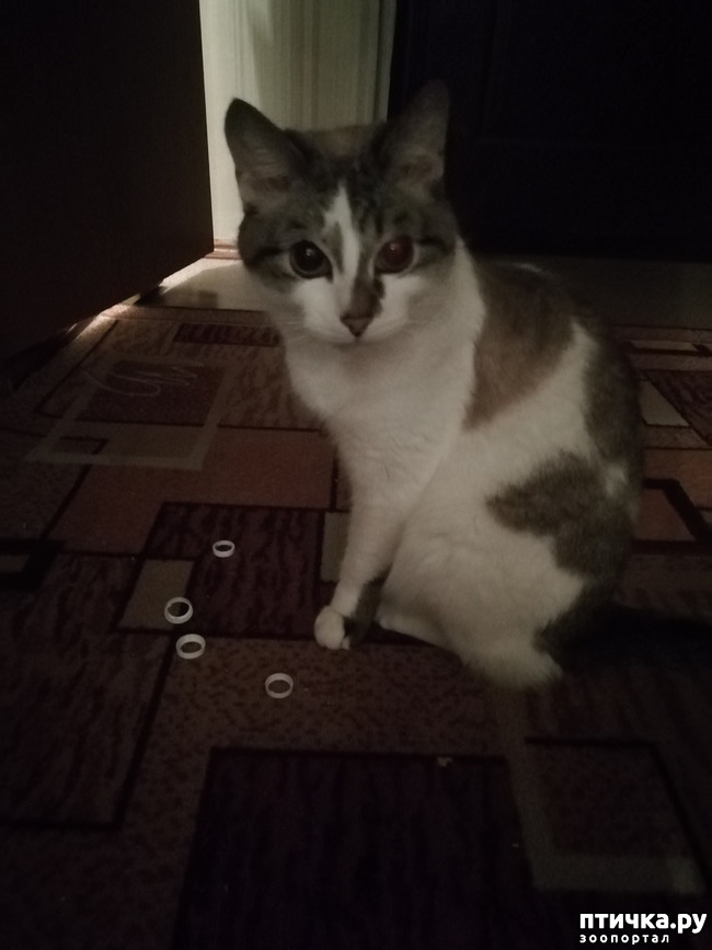 ���� 2: ��������.