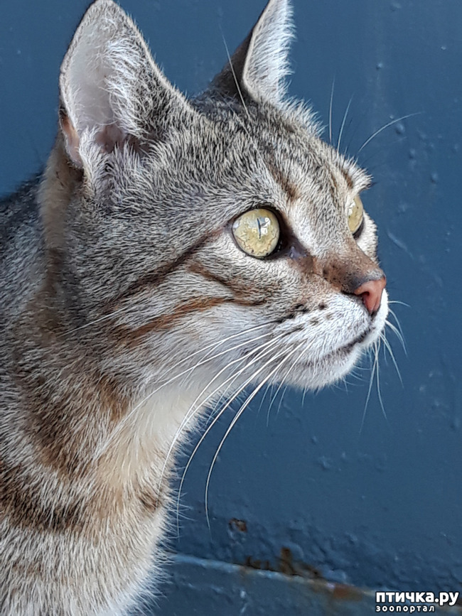 ���� 1: ������������ � ��������� ���������. ������� �������