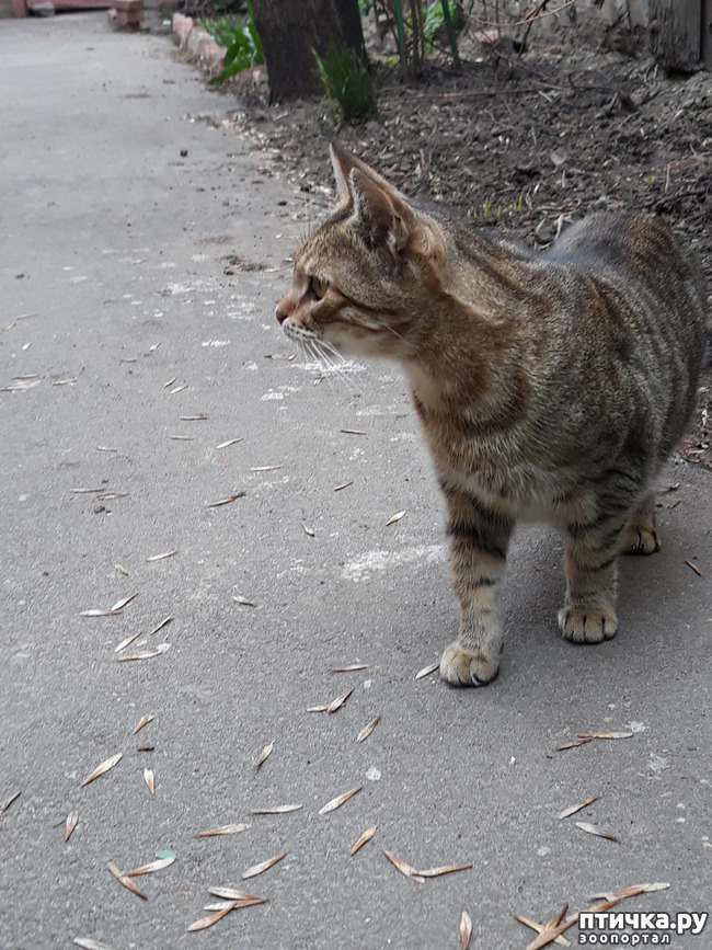 ���� 2: ������������ � ��������� ���������. ������� �������