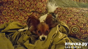 ����: � ����� ��� � � ����� ���� �������...