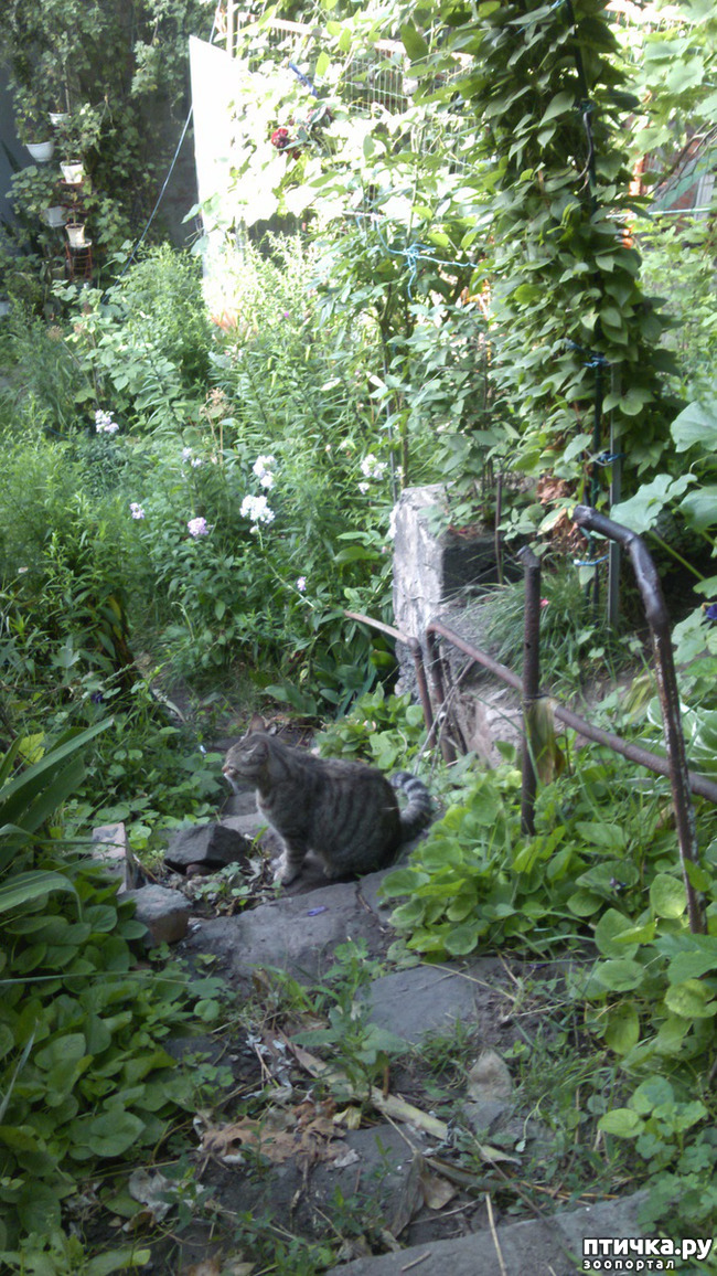 ���� 4: ������������ � ��������� ���������. ������� �������