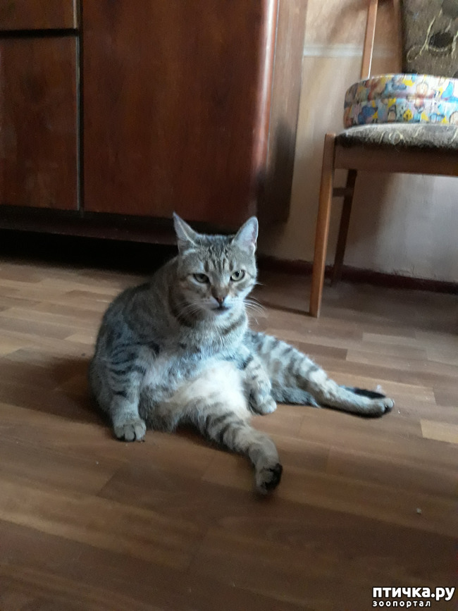 ���� 5: ������������ � ��������� ���������. ������� �������