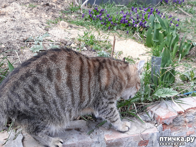 ���� 6: ������������ � ��������� ���������. ������� �������