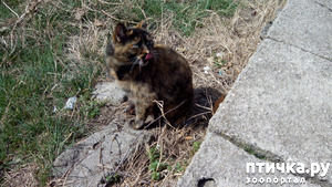 ����: ������� "���������"