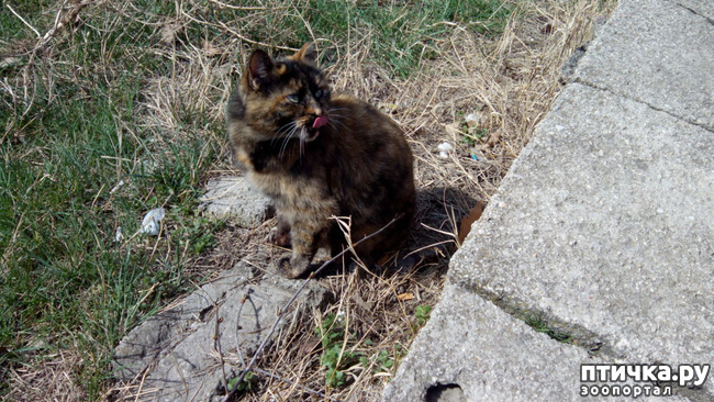 ���� 1: ������� 