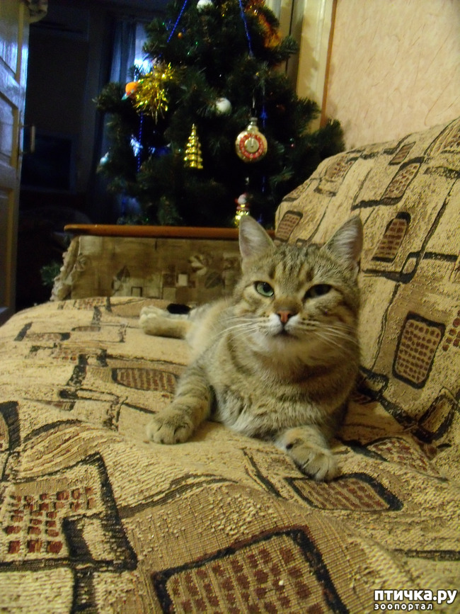 ���� 7: ������������ � ��������� ���������. ������� �������