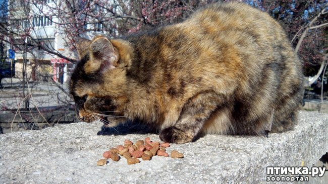 ���� 2: ������� 