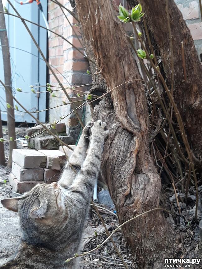 ���� 8: ������������ � ��������� ���������. ������� �������