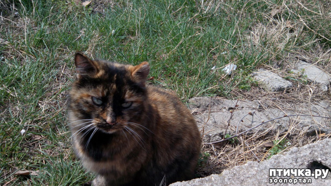 ���� 3: ������� 