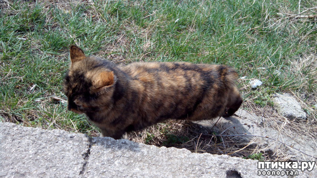 ���� 4: ������� 