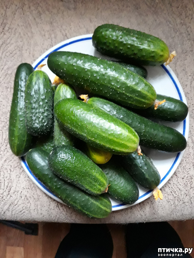 ���� 9: ������������ � ��������� ���������. ������� �������