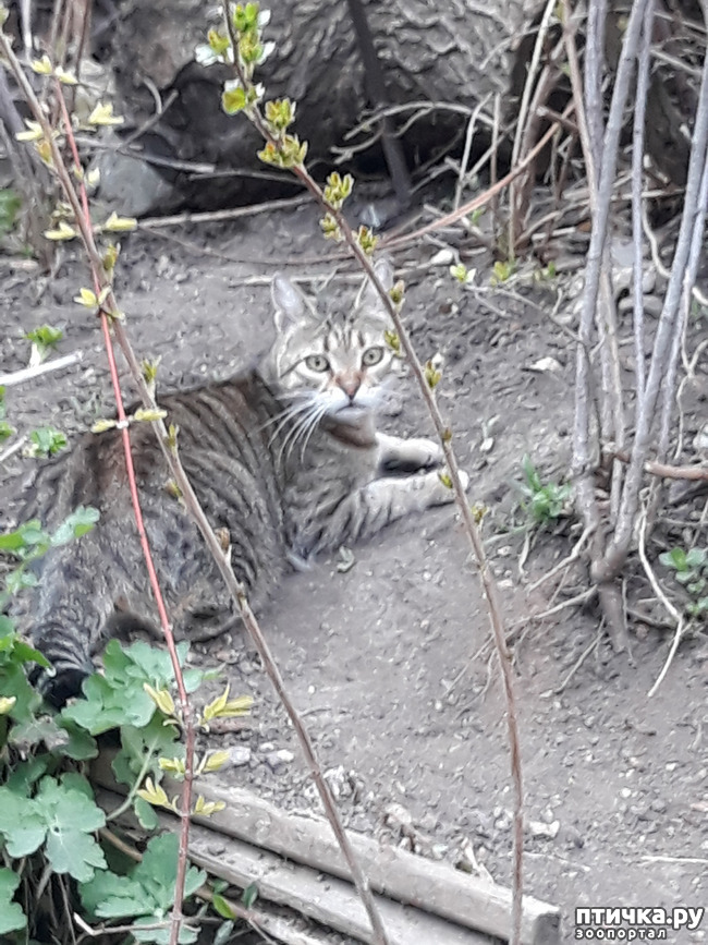 ���� 10: ������������ � ��������� ���������. ������� �������