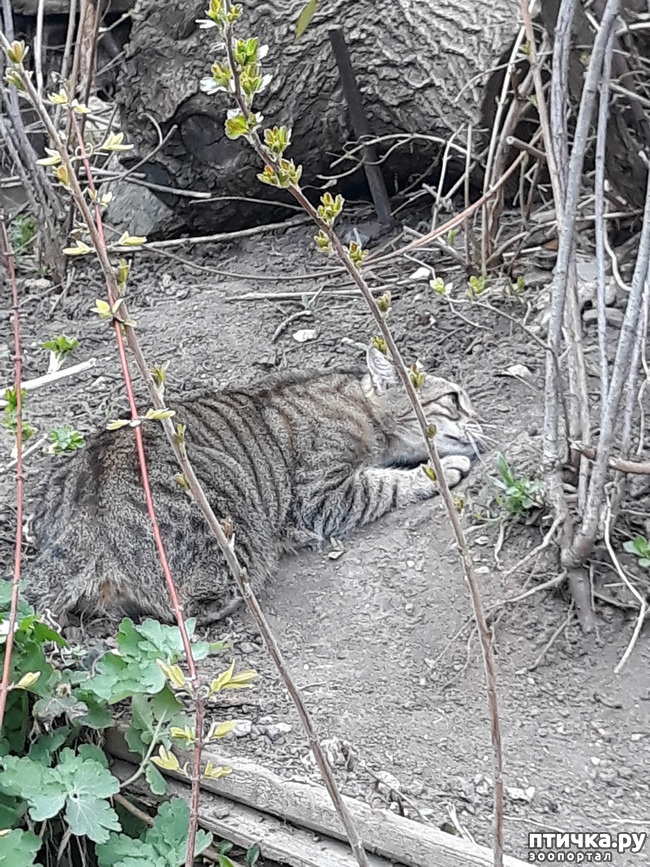 ���� 11: ������������ � ��������� ���������. ������� �������