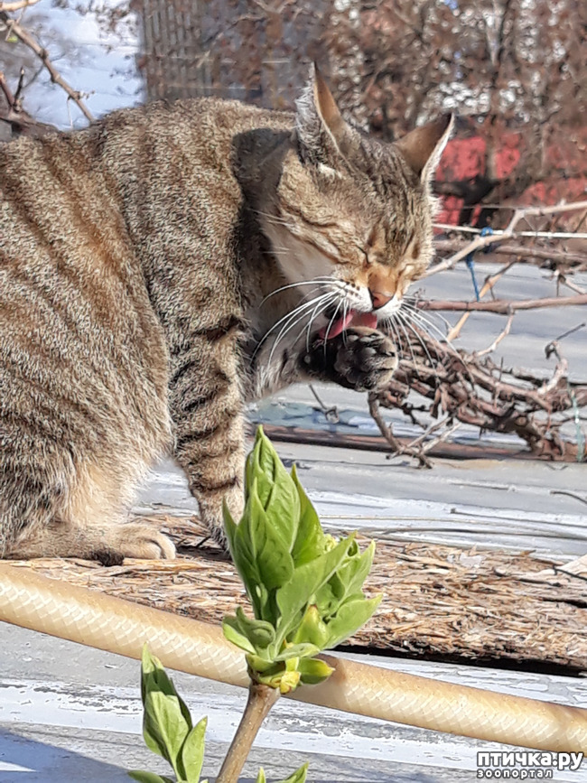 ���� 12: ������������ � ��������� ���������. ������� �������