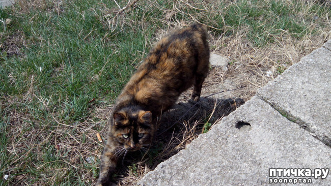 ���� 5: ������� 