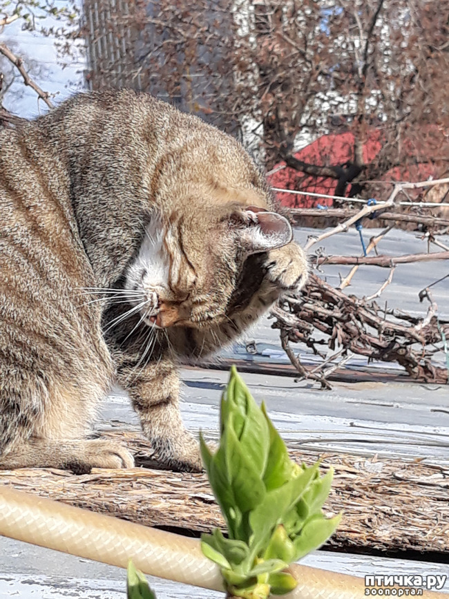 ���� 13: ������������ � ��������� ���������. ������� �������