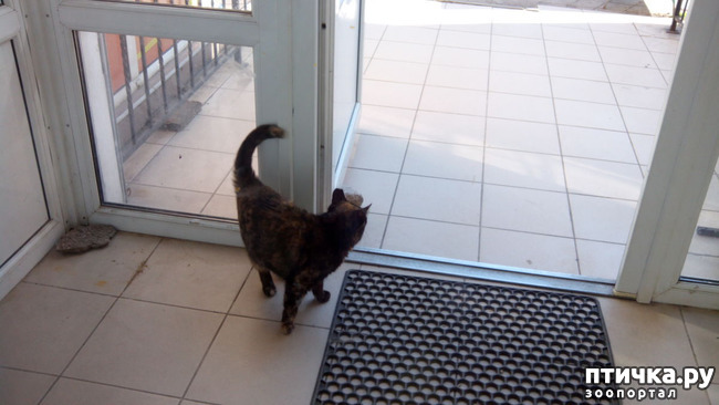 ���� 6: ������� 