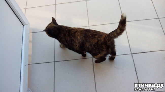 ���� 7: ������� 