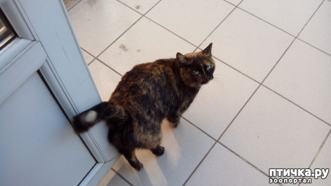 ���� 8: ������� 