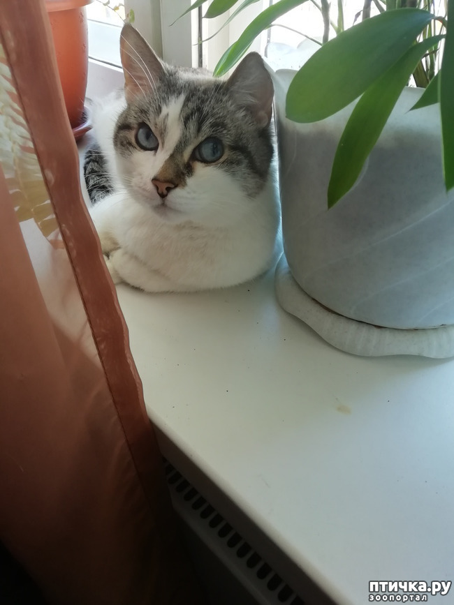  1: .