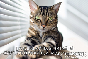 ����: ����� �� ����� ��� ������ ������������?