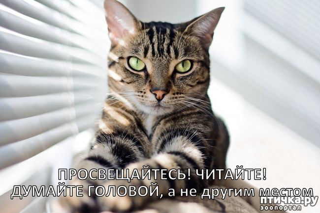 ���� 1: ����� �� ����� ��� ������ ������������?