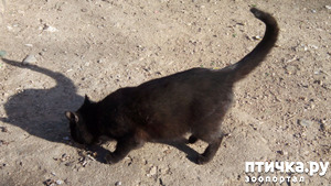 ����: ������� ������...