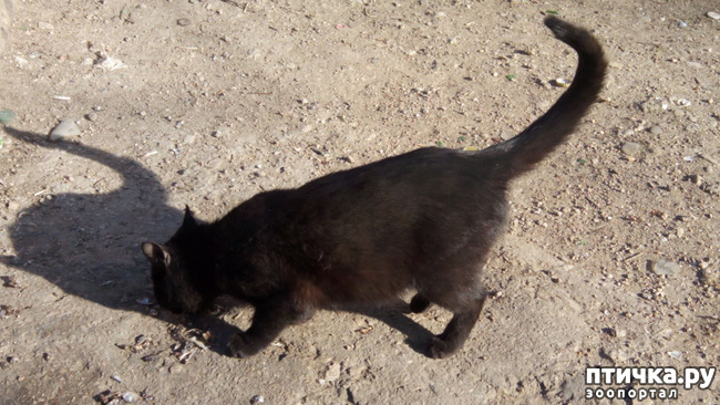 ���� 1: ������� ������...