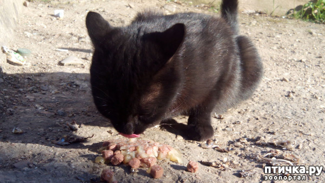 ���� 2: ������� ������...