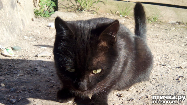 ���� 3: ������� ������...