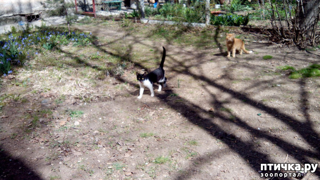 ���� 4: ������� ������...