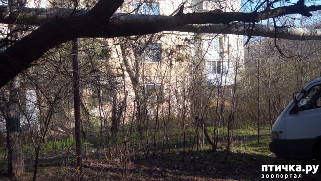 ���� 11: ��� ��� � ������!