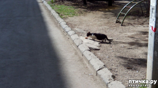 ���� 12: ��� ��� � ������!