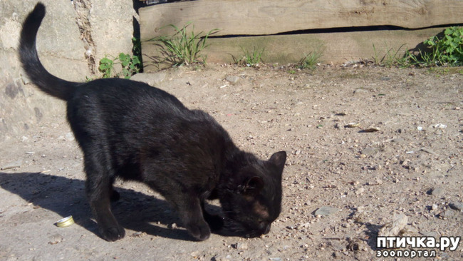 ���� 13: ��� ��� � ������!