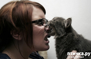 ����: ������ ����� ��������?