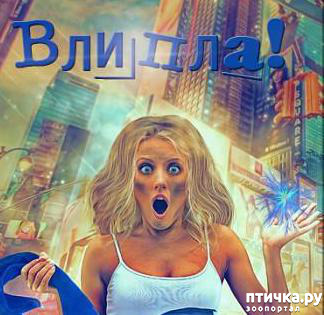 ���� 1: ��� ��� � ������!