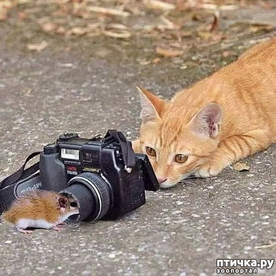 ���� 1: �����, ������ ������� ������