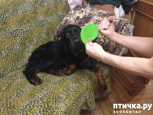 ����: - ����! ��� ��� ������?!