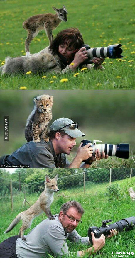 ���� 3: �����, ������ ������� ������