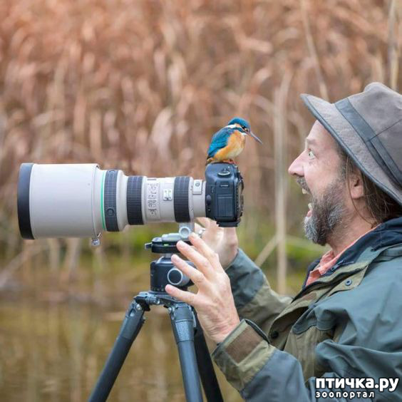 ���� 4: �����, ������ ������� ������