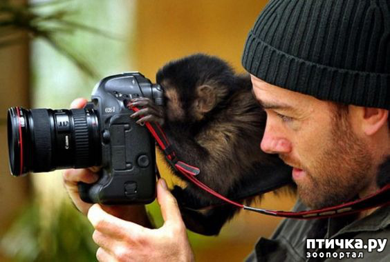 ���� 5: �����, ������ ������� ������