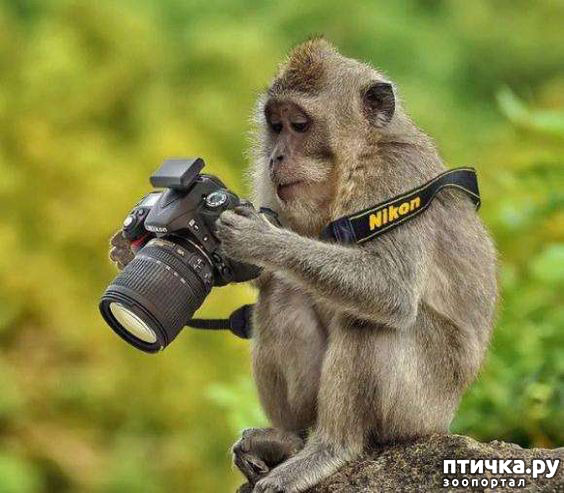 ���� 6: �����, ������ ������� ������