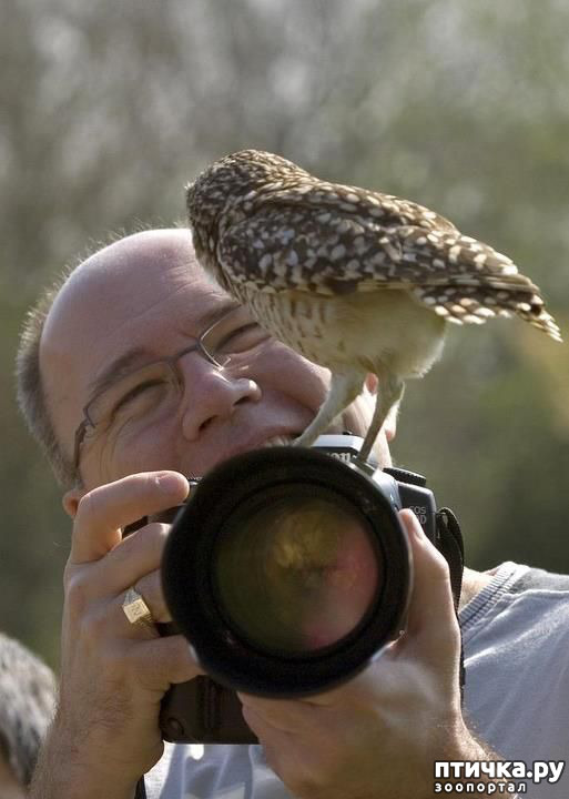 ���� 8: �����, ������ ������� ������