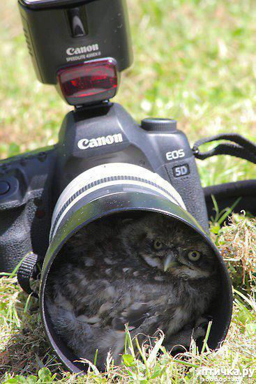 ���� 10: �����, ������ ������� ������