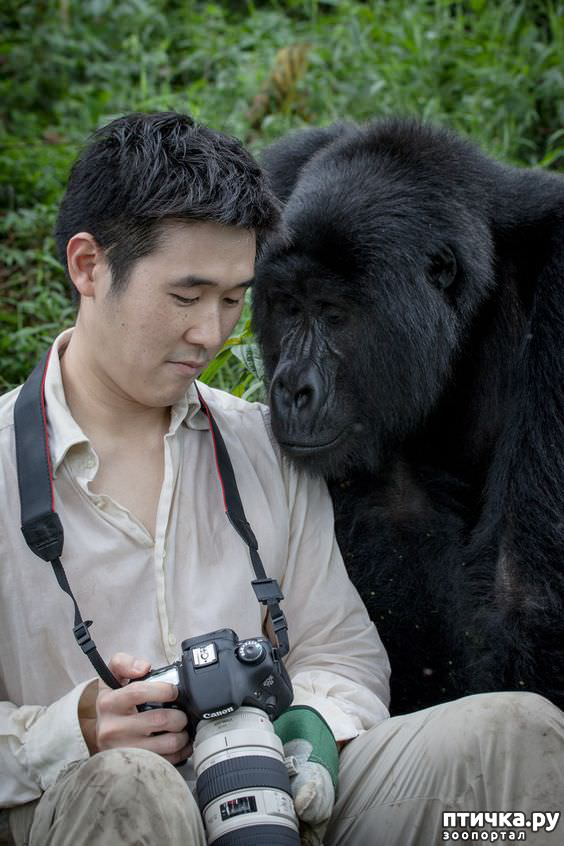 ���� 11: �����, ������ ������� ������