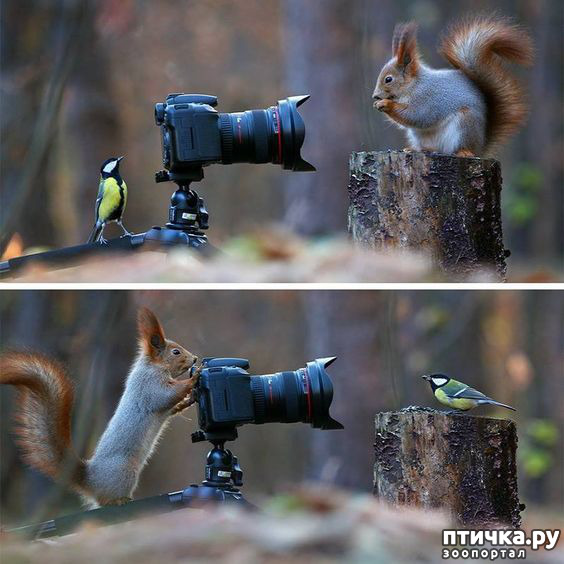 ���� 12: �����, ������ ������� ������