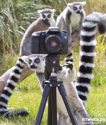 ���� 13: �����, ������ ������� ������