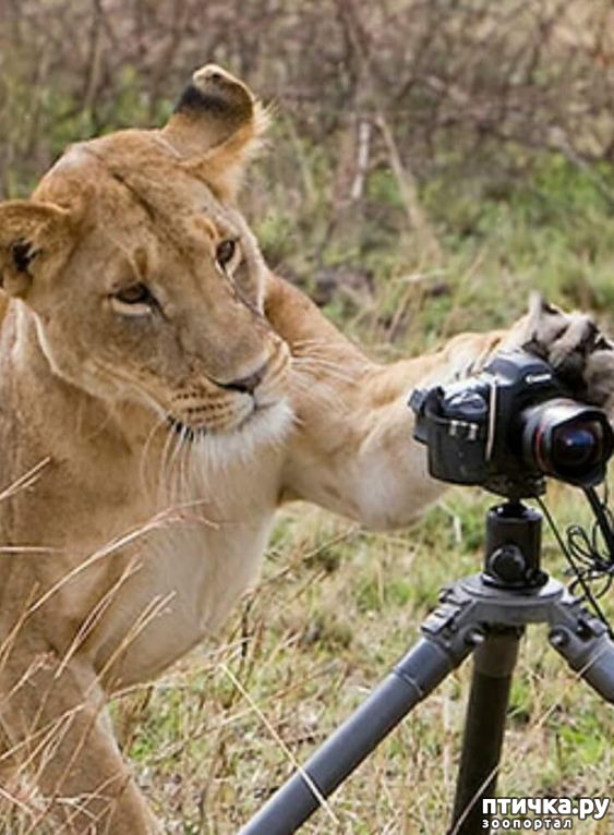 ���� 14: �����, ������ ������� ������